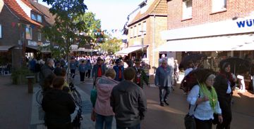 Der Einmarsch 3